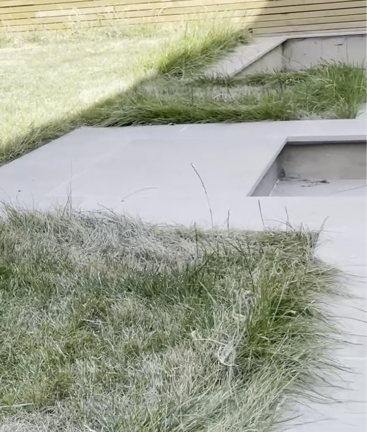 Image showing a tuft of uncut grass at the edge of a wall